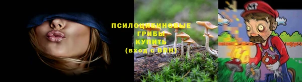 mdpv Киренск