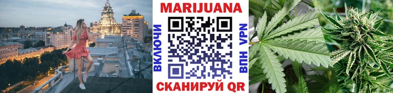 Купить где  Новоаннинский  Марихуана ГИДРОПОН 